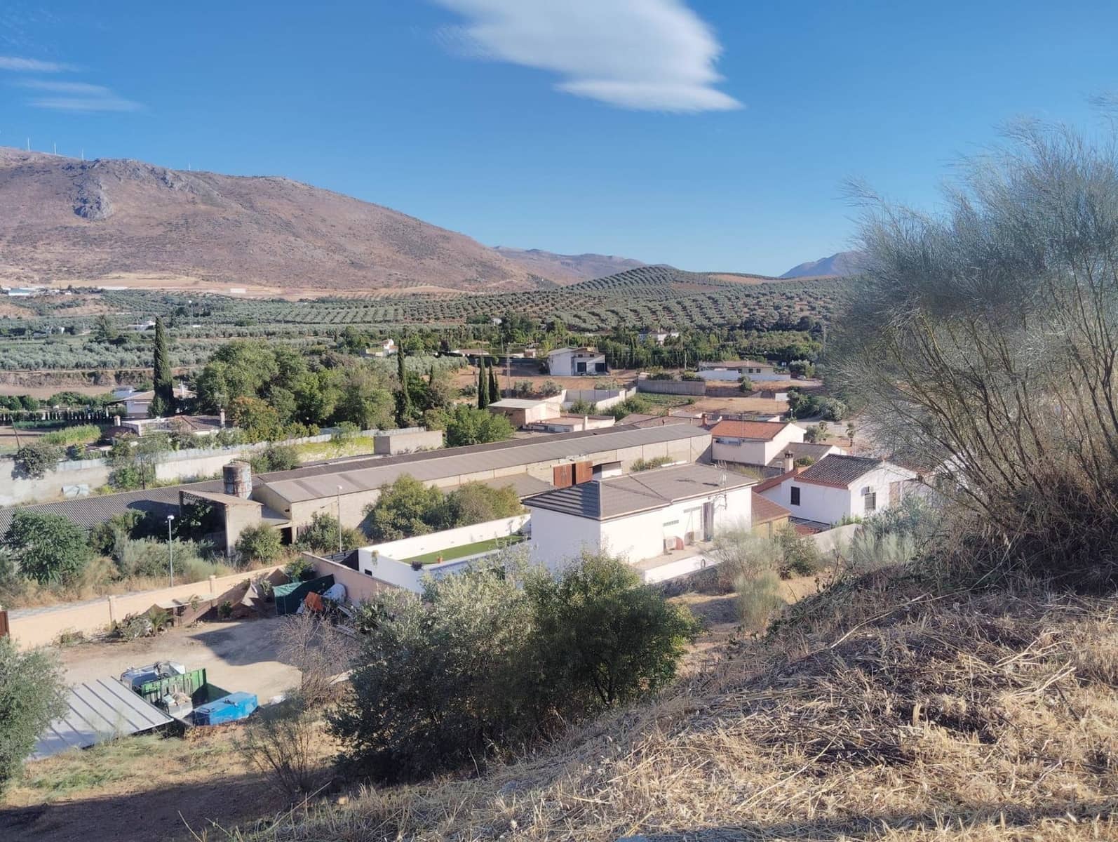 Landgrundstück zu verkaufen in Loja - 35.000 € (Ref: 10044747)