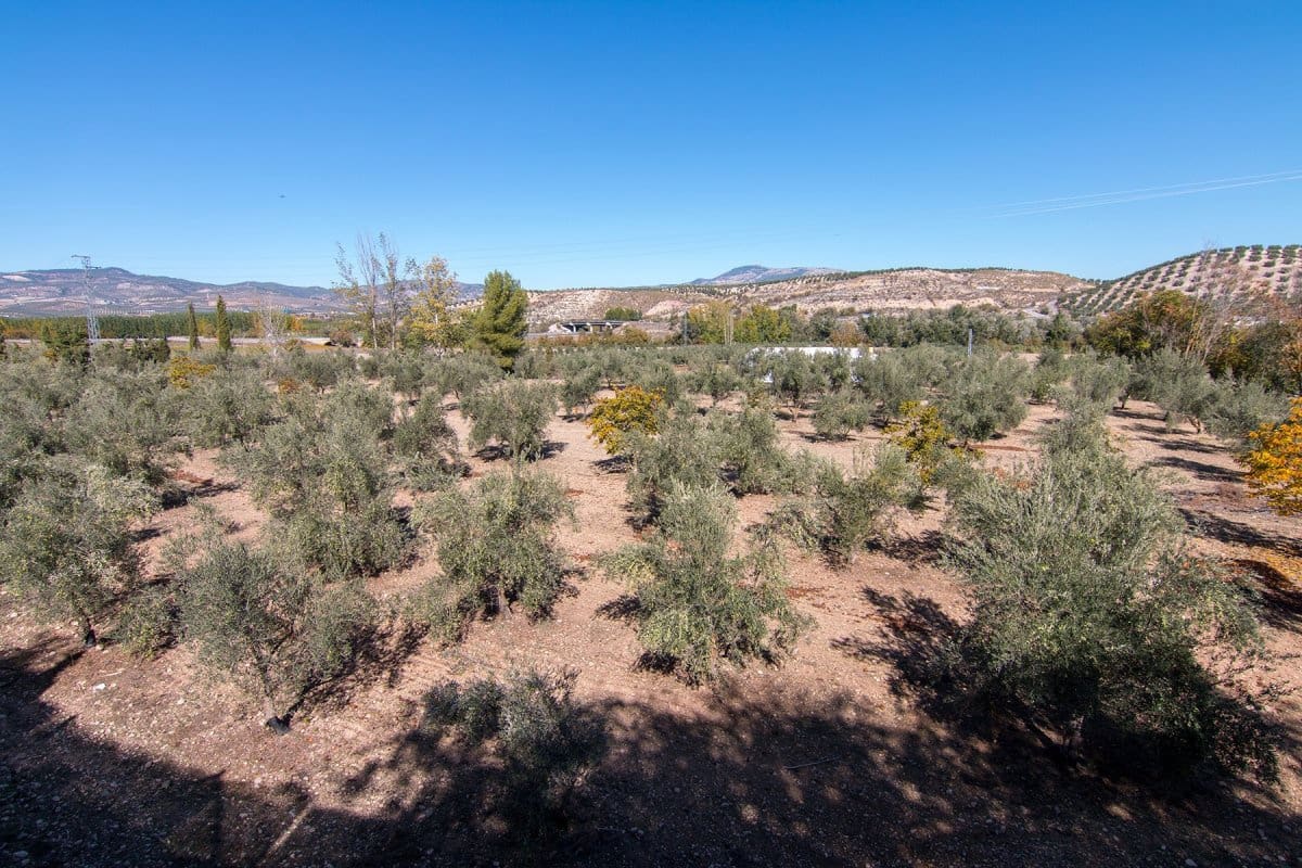 5 Zimmer Villa zu verkaufen in Huetor Tajar mit Pool - 450.000 € (Ref: 8184679)