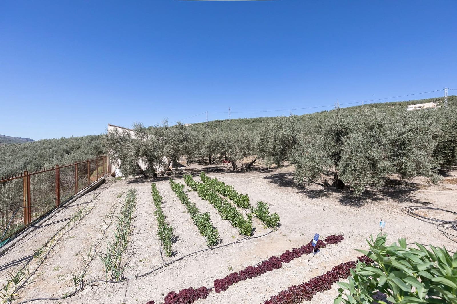 5 bedroom Finca/Country House for sale in Montefrio with pool garage - € 790,000 (Ref: 8184718)