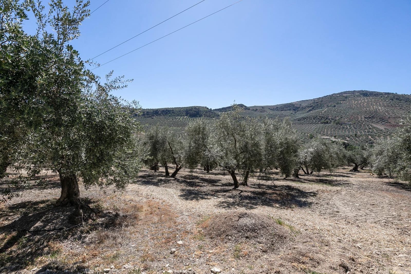 5 bedroom Finca/Country House for sale in Montefrio with pool garage - € 790,000 (Ref: 8184718)