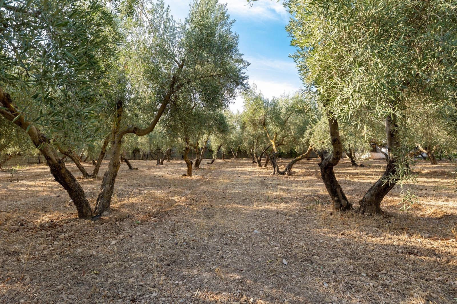 3 quarto Quinta/Casa Rural para venda em Moraleda de Zafayona com piscina - 220 000 € (Ref: 8551104)