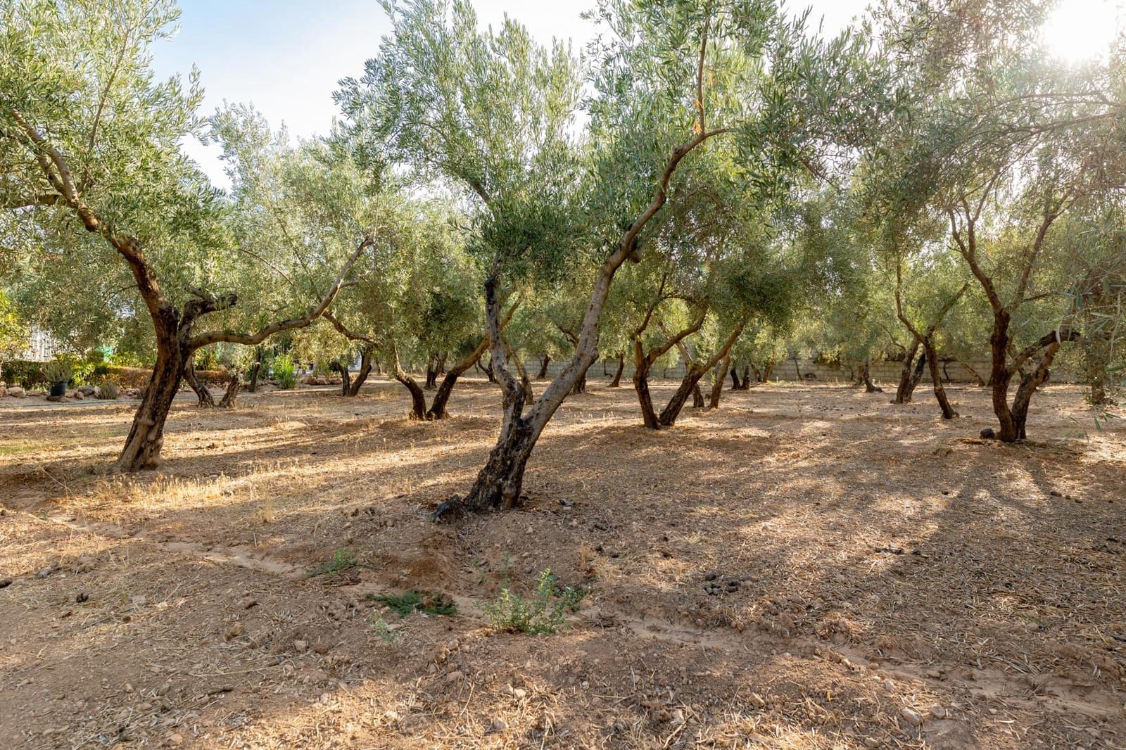 3 quarto Quinta/Casa Rural para venda em Moraleda de Zafayona com piscina - 220 000 € (Ref: 8551104)