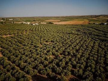 4 bedroom Villa for sale in Moraleda de Zafayona with pool garage - € 599,000 (Ref: 8574249)