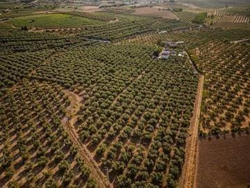 4 bedroom Villa for sale in Moraleda de Zafayona with pool garage - € 599,000 (Ref: 8574249)