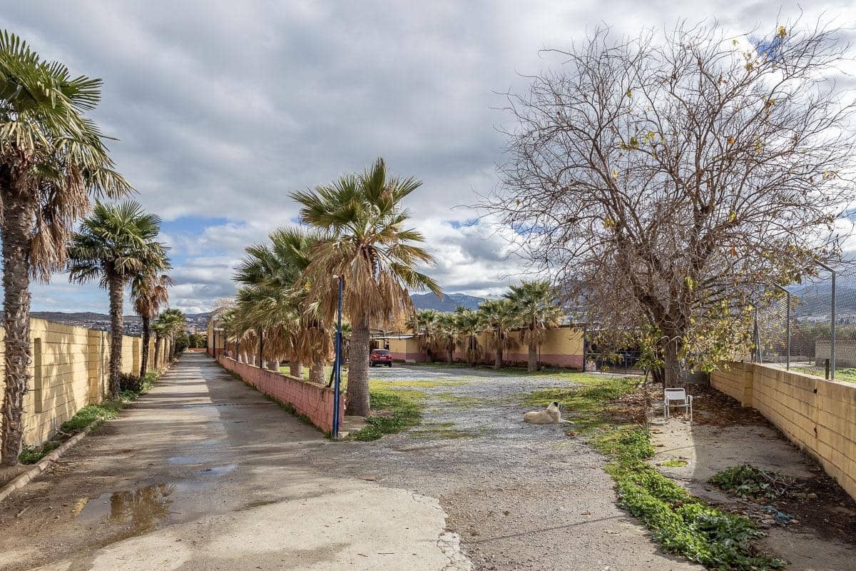 4 makuuhuone Huvila myytävänä paikassa La Zubia mukana 
autotalli - 795 000 € (Ref: 8716181)