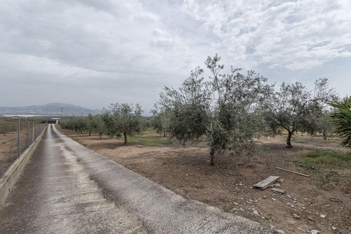 4 soveværelse Finca/Landehus til salg i Moraleda de Zafayona med swimmingpool garage - € 489.000 (Ref: 8946641)