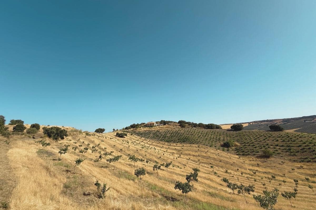 4 soveværelse Finca/Landehus til salg i Alhama de Granada - € 159.000 (Ref: 9118742)