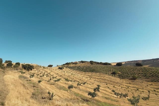 4 camera da letto Finca/Casa di Campagna in vendita in Alhama de Granada - 159.000 € (Rif: 9118742)