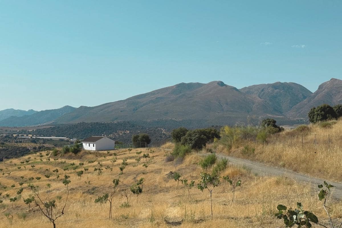 4 soveværelse Finca/Landehus til salg i Alhama de Granada - € 159.000 (Ref: 9118742)