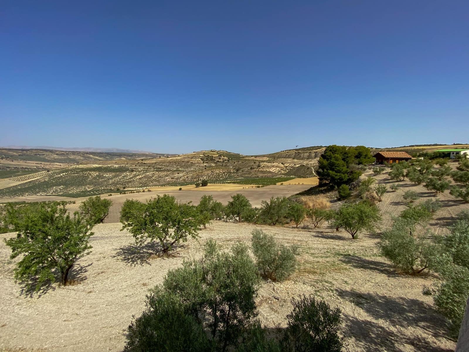 7 soveværelse Villa til salg i Arenas del Rey - € 239.000 (Ref: 9147220)