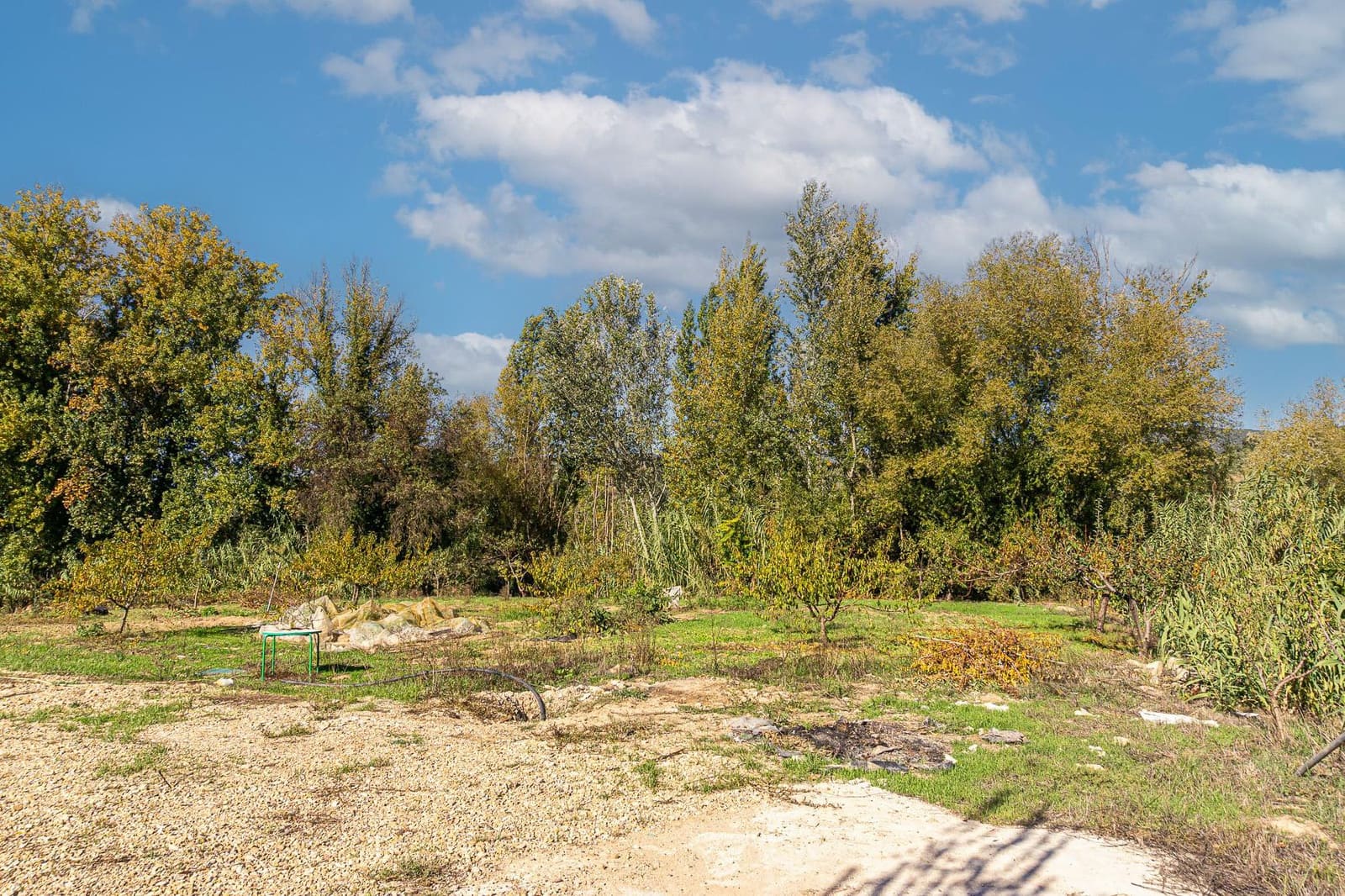 4 slaapkamer Finca/Landhuis te koop in Castillo de Locubin met zwembad - € 200.000 (Ref: 9393274)