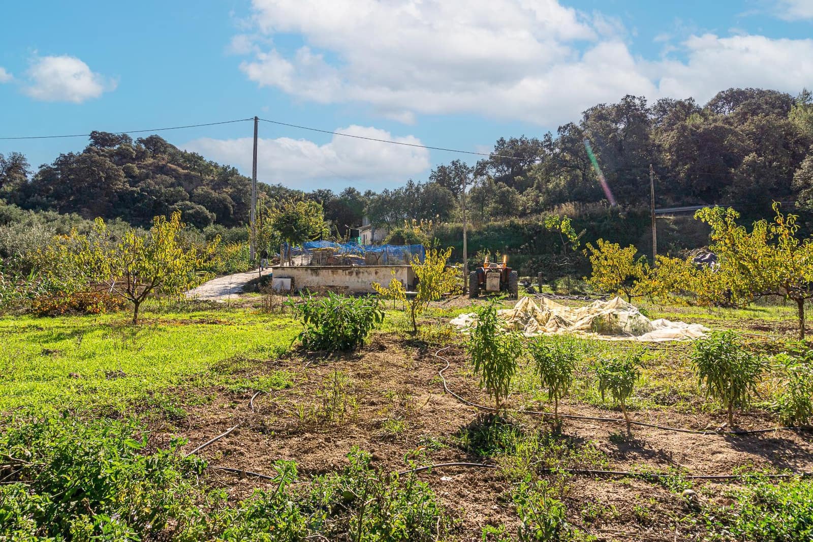 4 slaapkamer Finca/Landhuis te koop in Castillo de Locubin met zwembad - € 200.000 (Ref: 9393274)