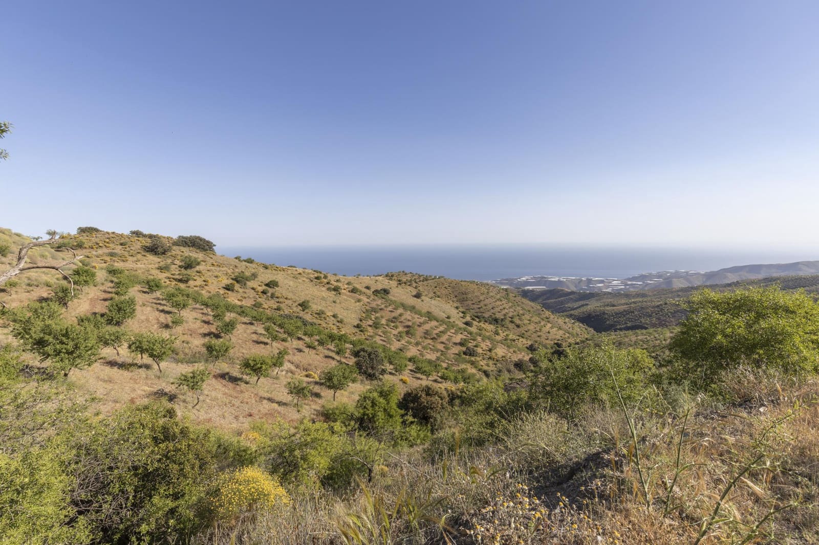 1 Zimmer Finca/Landgut zu verkaufen in Albunol - 100.000 € (Ref: 9436955)