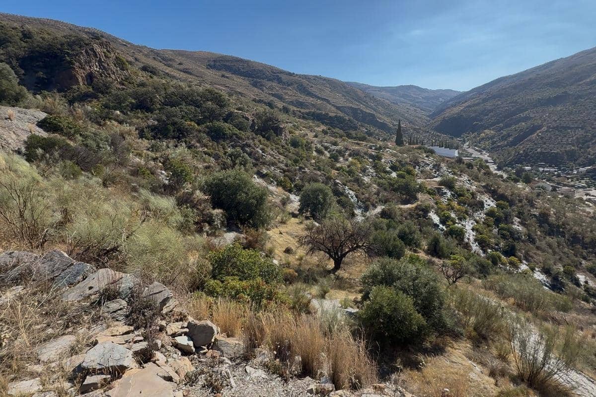 Ubebygd land til salgs i Torvizcon - € 80 000 (Ref: 9441384)