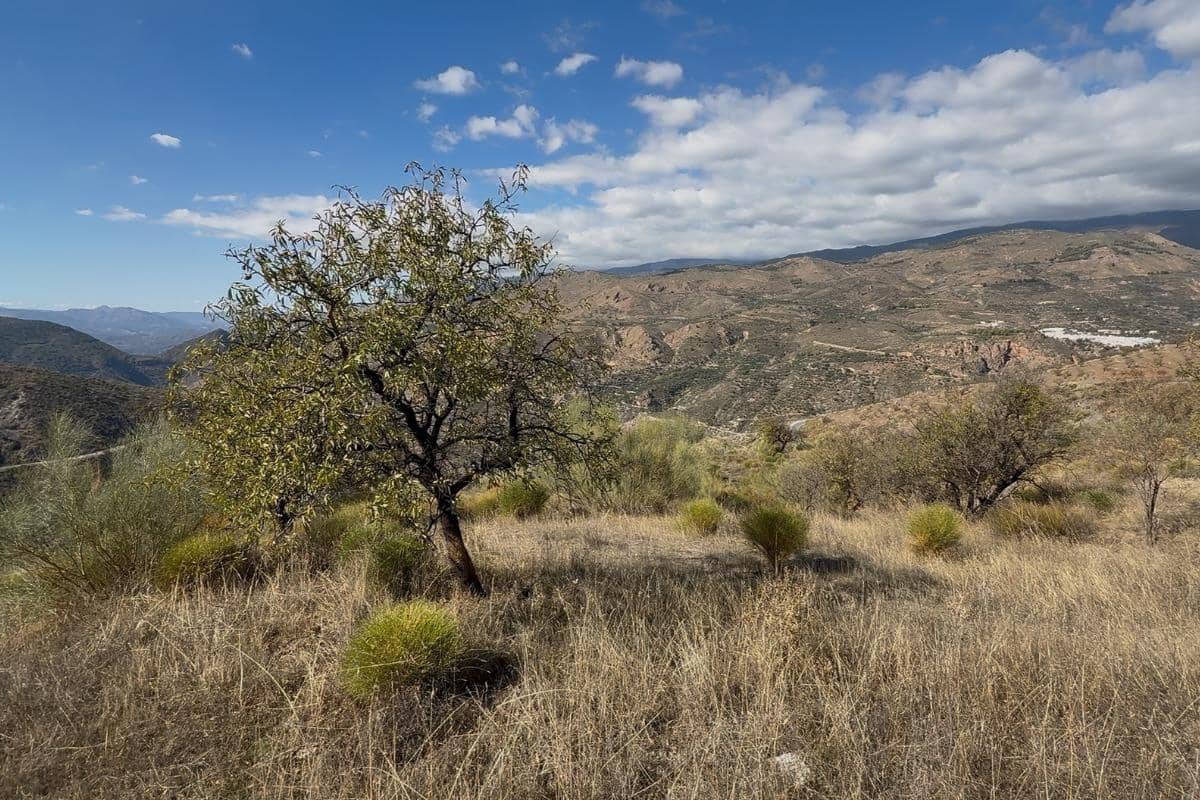 Ubebygd land til salgs i Torvizcon - € 80 000 (Ref: 9441384)