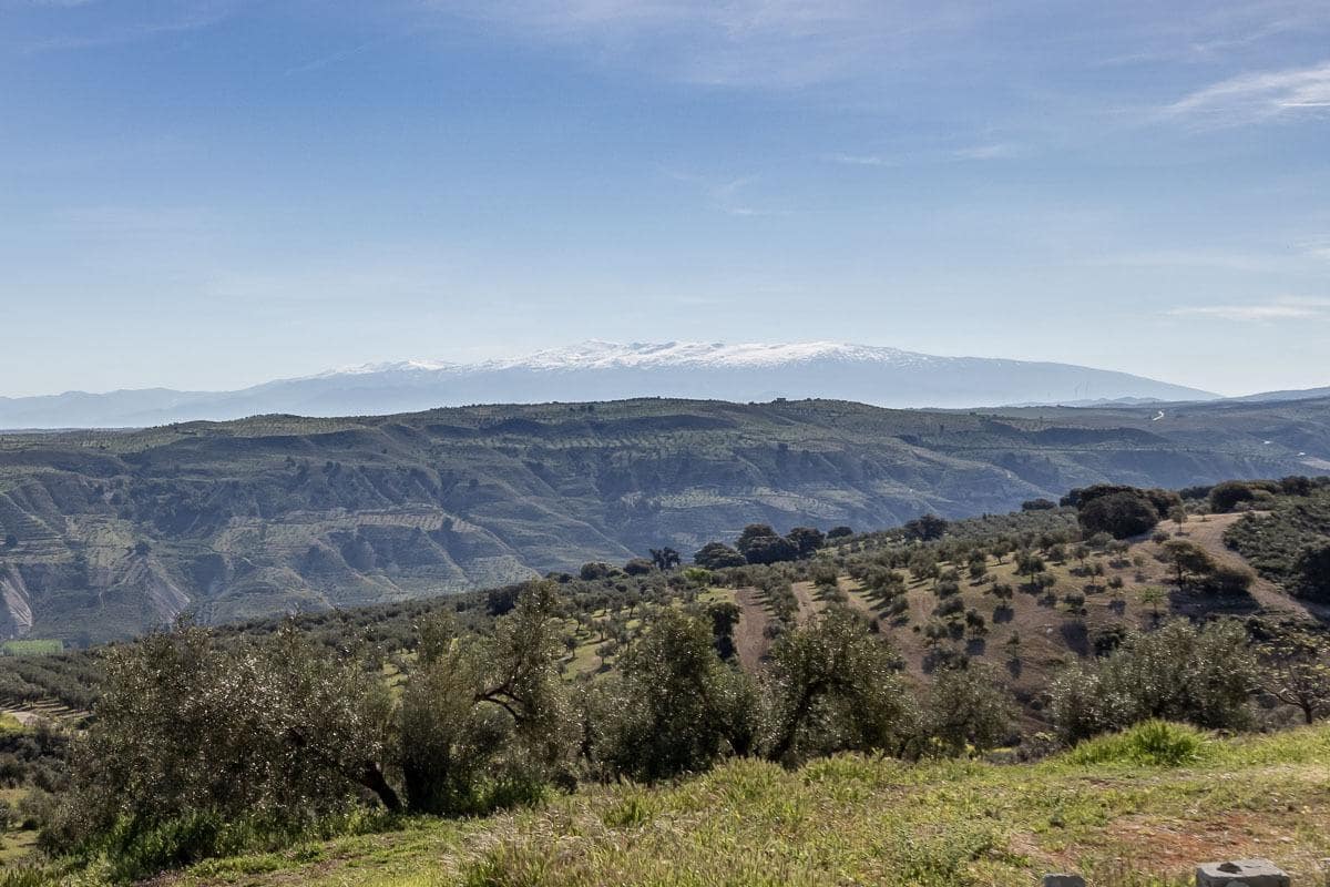 3 soveværelse Finca/Landehus til salg i Alhama de Granada med garage - € 145.000 (Ref: 9875975)