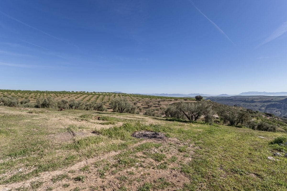 3 soveværelse Finca/Landehus til salg i Alhama de Granada med garage - € 145.000 (Ref: 9875975)