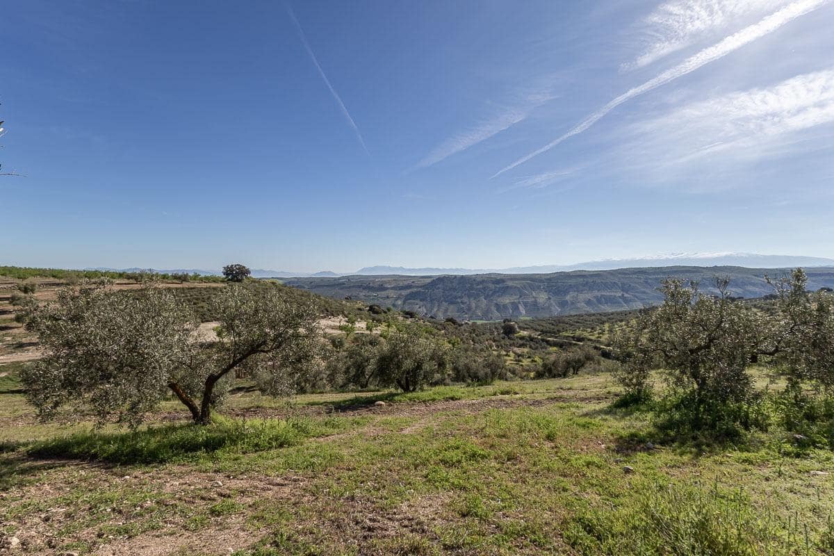 3 soveværelse Finca/Landehus til salg i Alhama de Granada med garage - € 145.000 (Ref: 9875975)