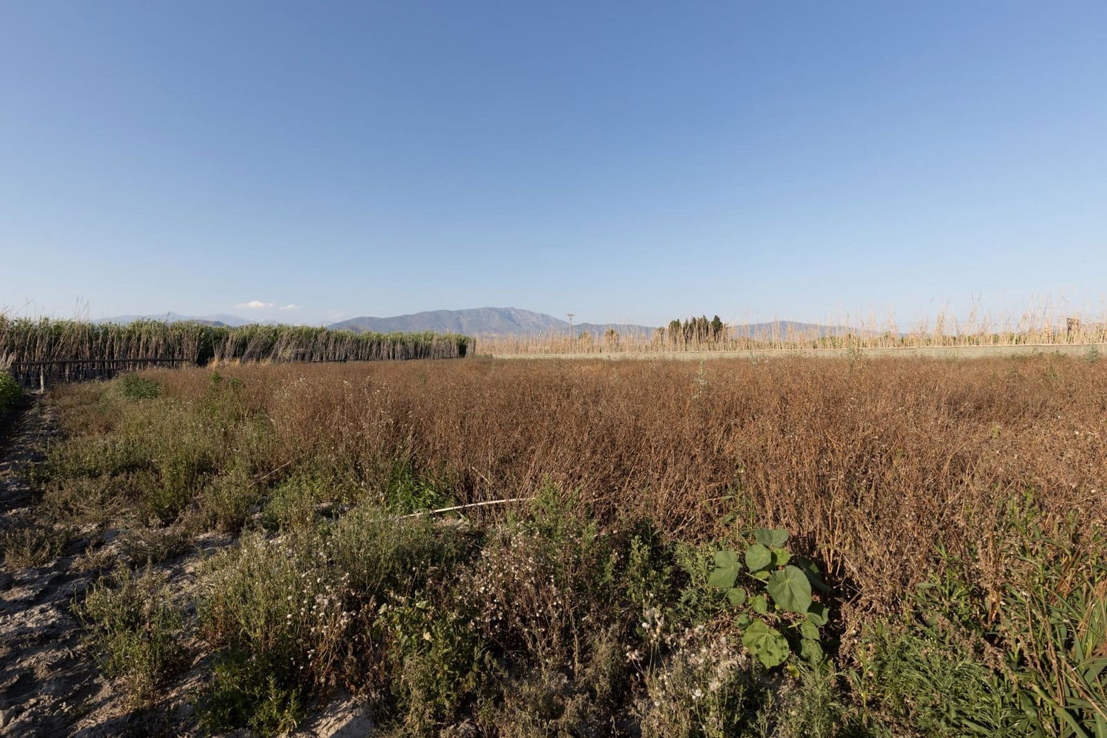 Grunde uden byggetilladelser til salg i Motril - € 70.000 (Ref: 9916586)