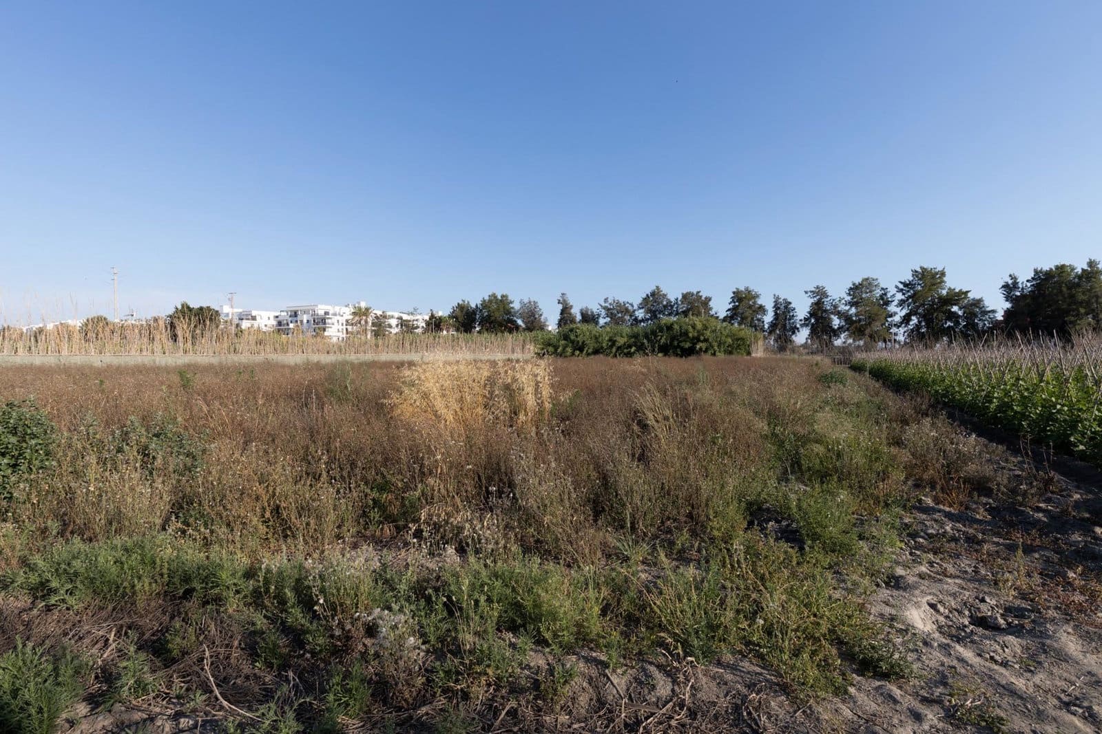 Grunde uden byggetilladelser til salg i Motril - € 70.000 (Ref: 9916586)