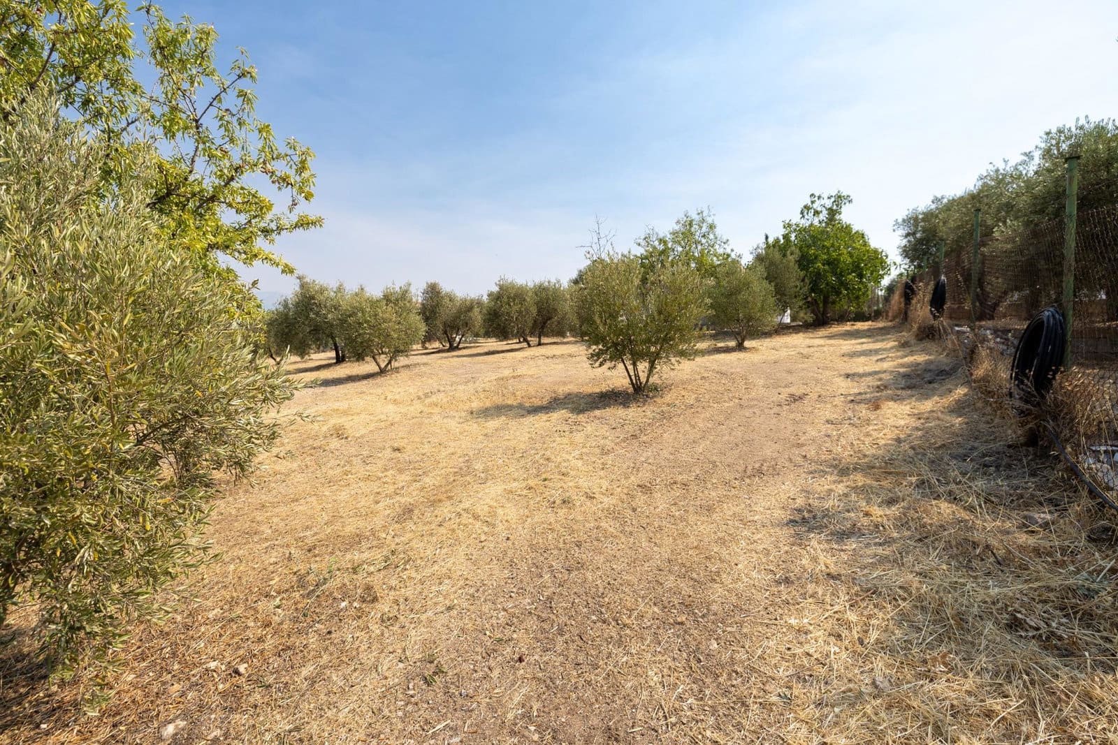 Finca/Casa Rural de 2 habitaciones en Moraleda de Zafayona en venta con garaje - 79.900 € (Ref: 9916591)