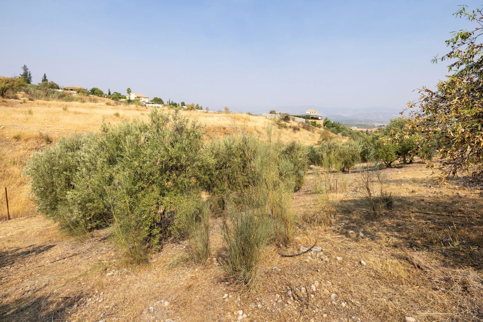 Finca/Casa Rural de 2 habitaciones en Moraleda de Zafayona en venta con garaje - 79.900 € (Ref: 9916591)