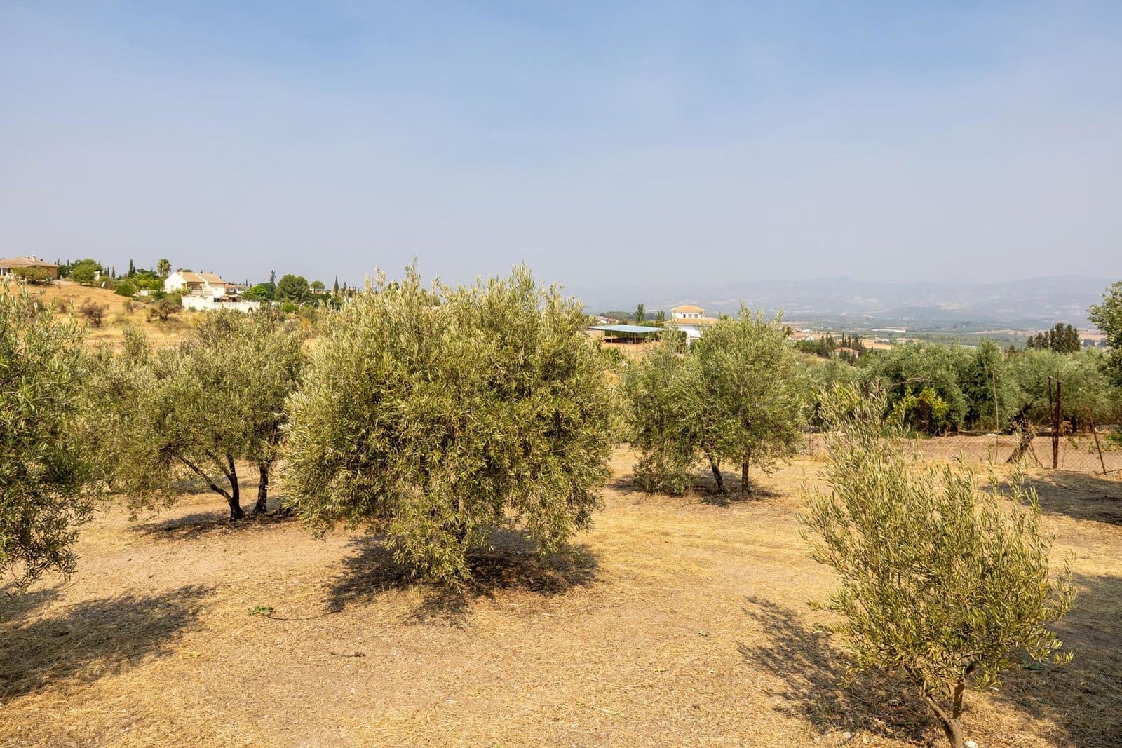 Finca/Casa Rural de 2 habitaciones en Moraleda de Zafayona en venta con garaje - 79.900 € (Ref: 9916591)
