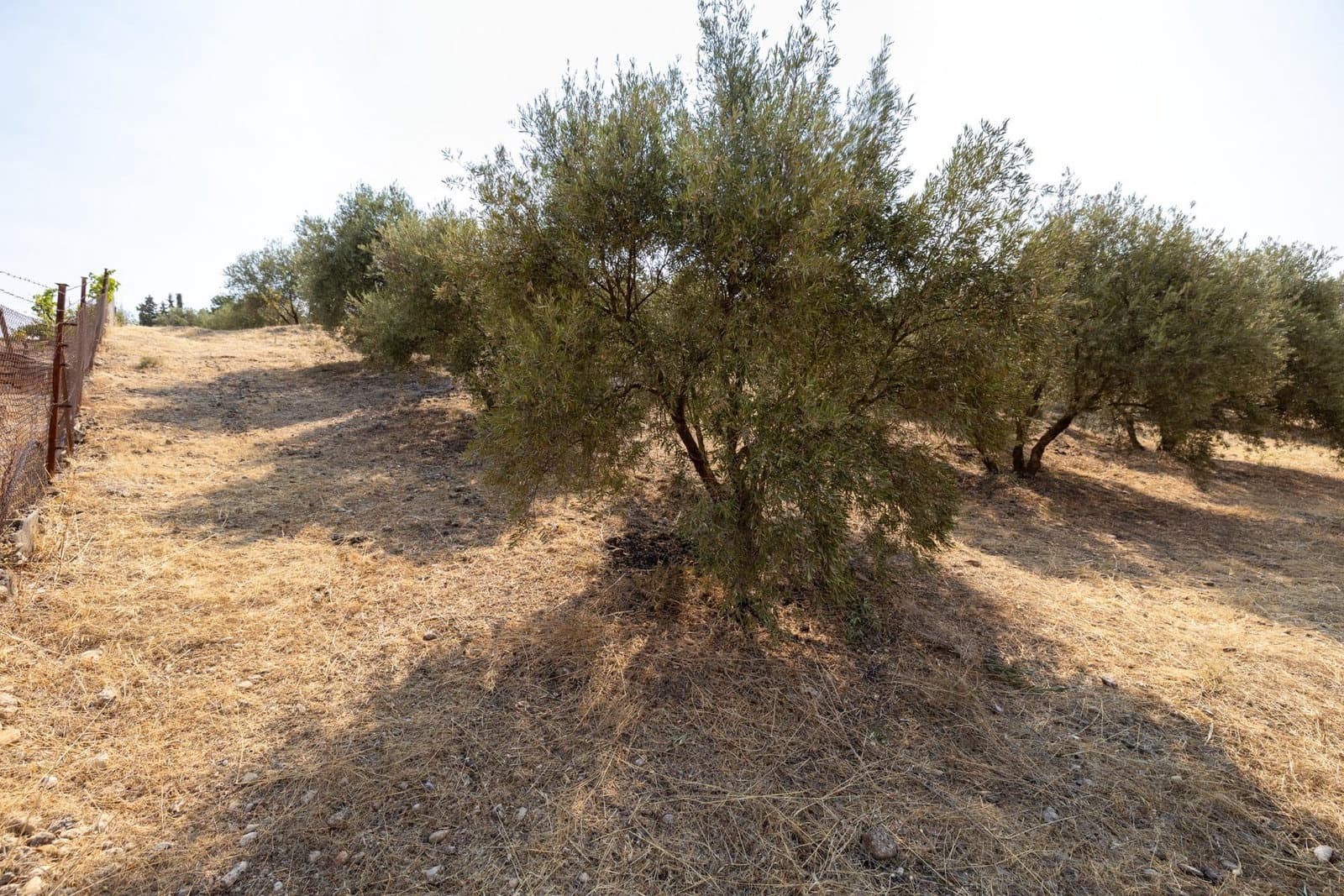 Finca/Casa Rural de 2 habitaciones en Moraleda de Zafayona en venta con garaje - 79.900 € (Ref: 9916591)