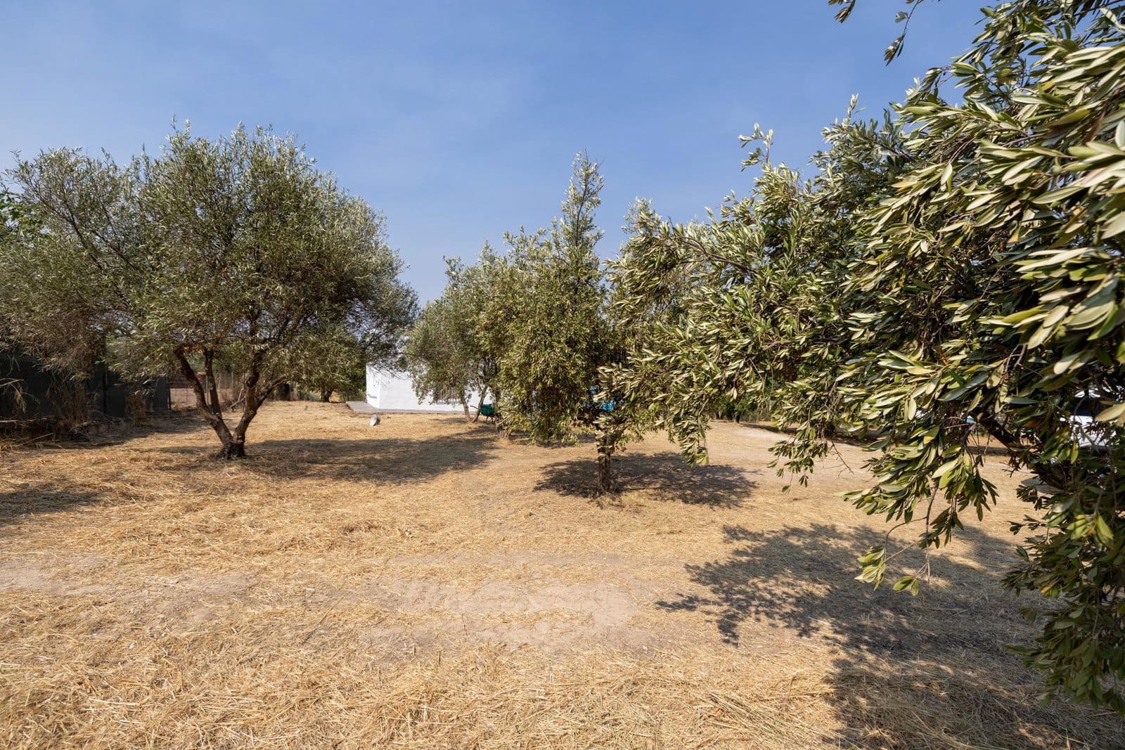 Finca/Casa Rural de 2 habitaciones en Moraleda de Zafayona en venta con garaje - 79.900 € (Ref: 9916591)