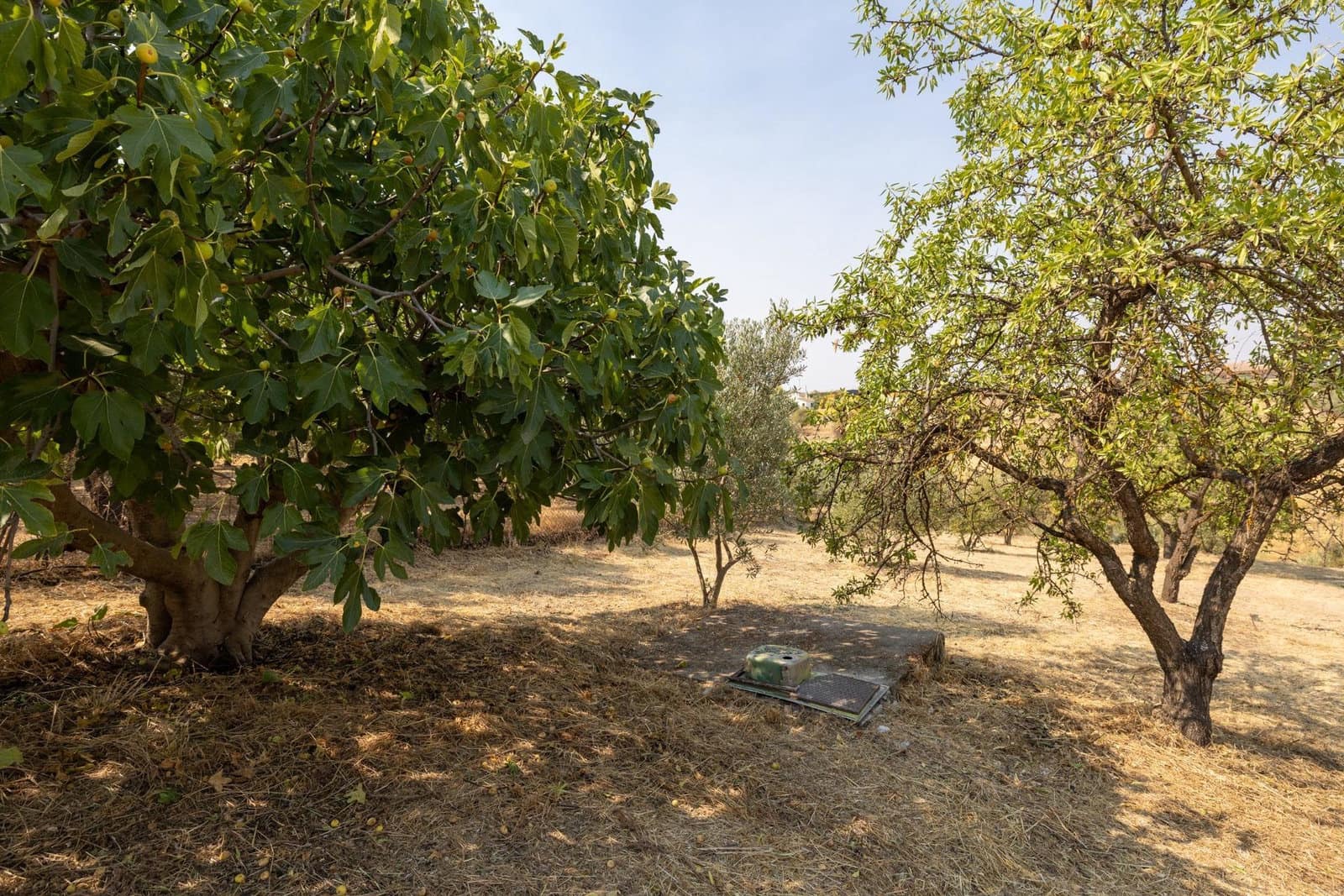 Finca/Casa Rural de 2 habitaciones en Moraleda de Zafayona en venta con garaje - 79.900 € (Ref: 9916591)