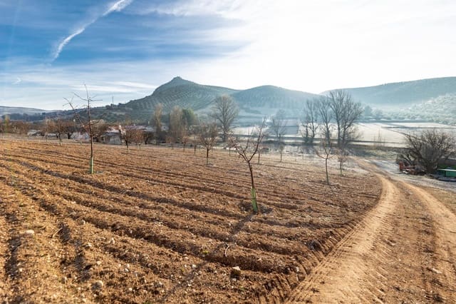 4 Zimmer Finca/Landgut zu verkaufen in Píñar mit Garage - 299.000 € (Ref: 9916611)