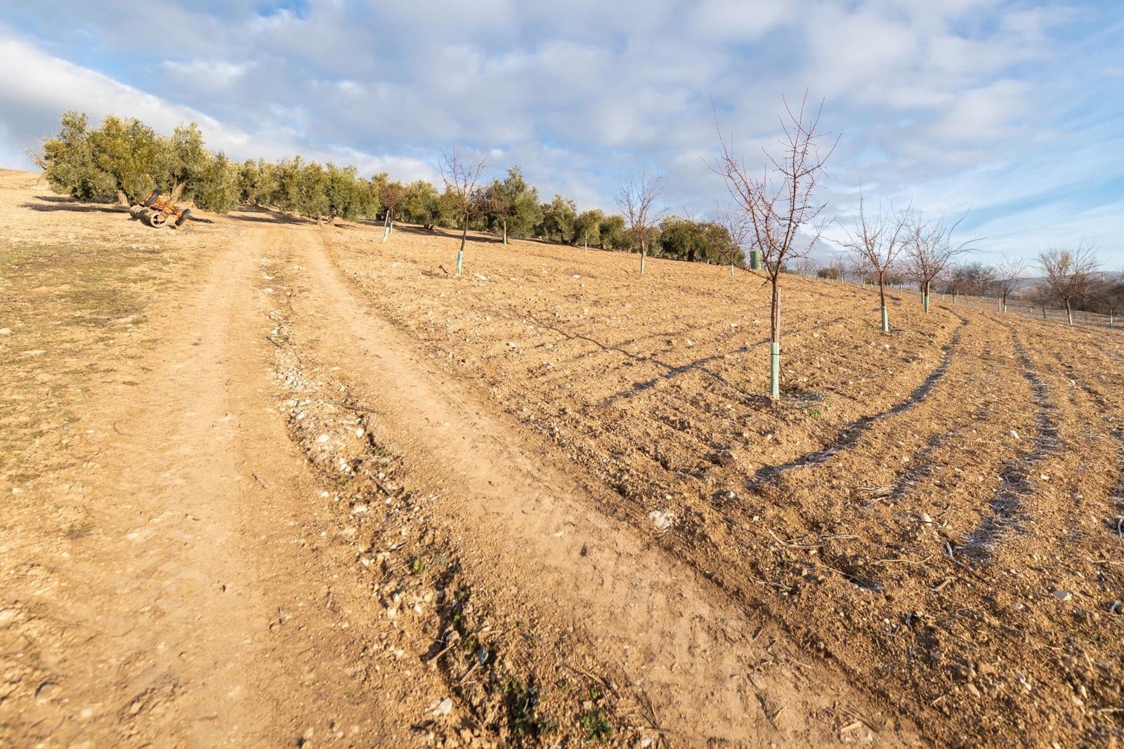 4 Zimmer Finca/Landgut zu verkaufen in Pinar mit Garage - 299.000 € (Ref: 9916611)