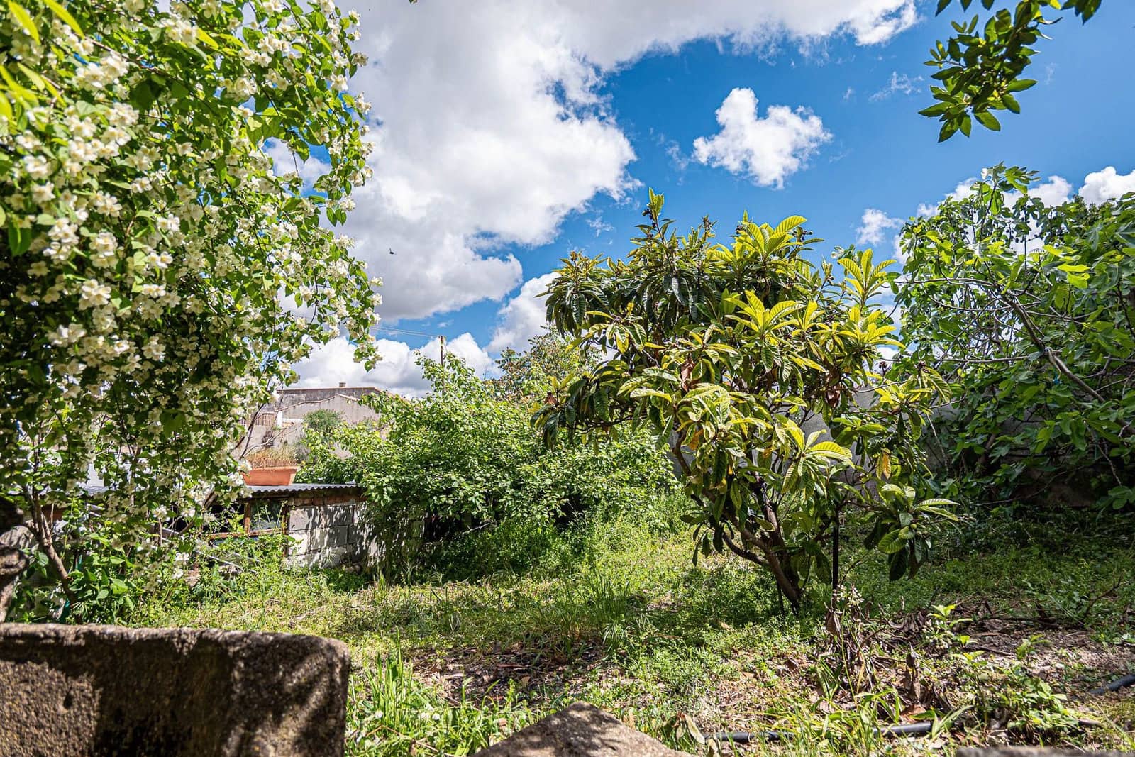 3 bedroom Finca/Country House for sale in Alcala la Real with garage - € 239,000 (Ref: 9916627)