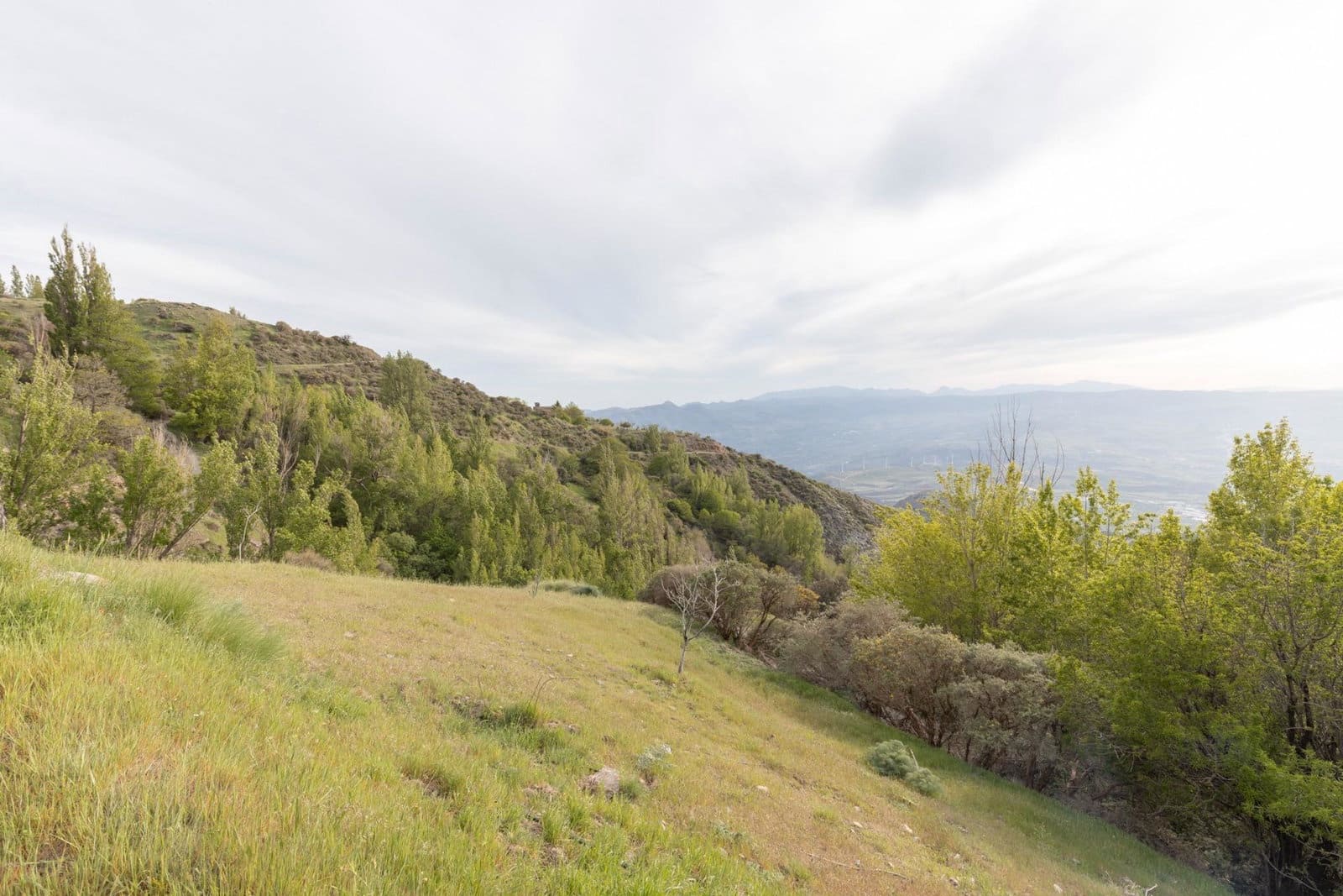 4 bedroom Finca/Country House for sale in Niguelas - € 160,000 (Ref: 9916648)