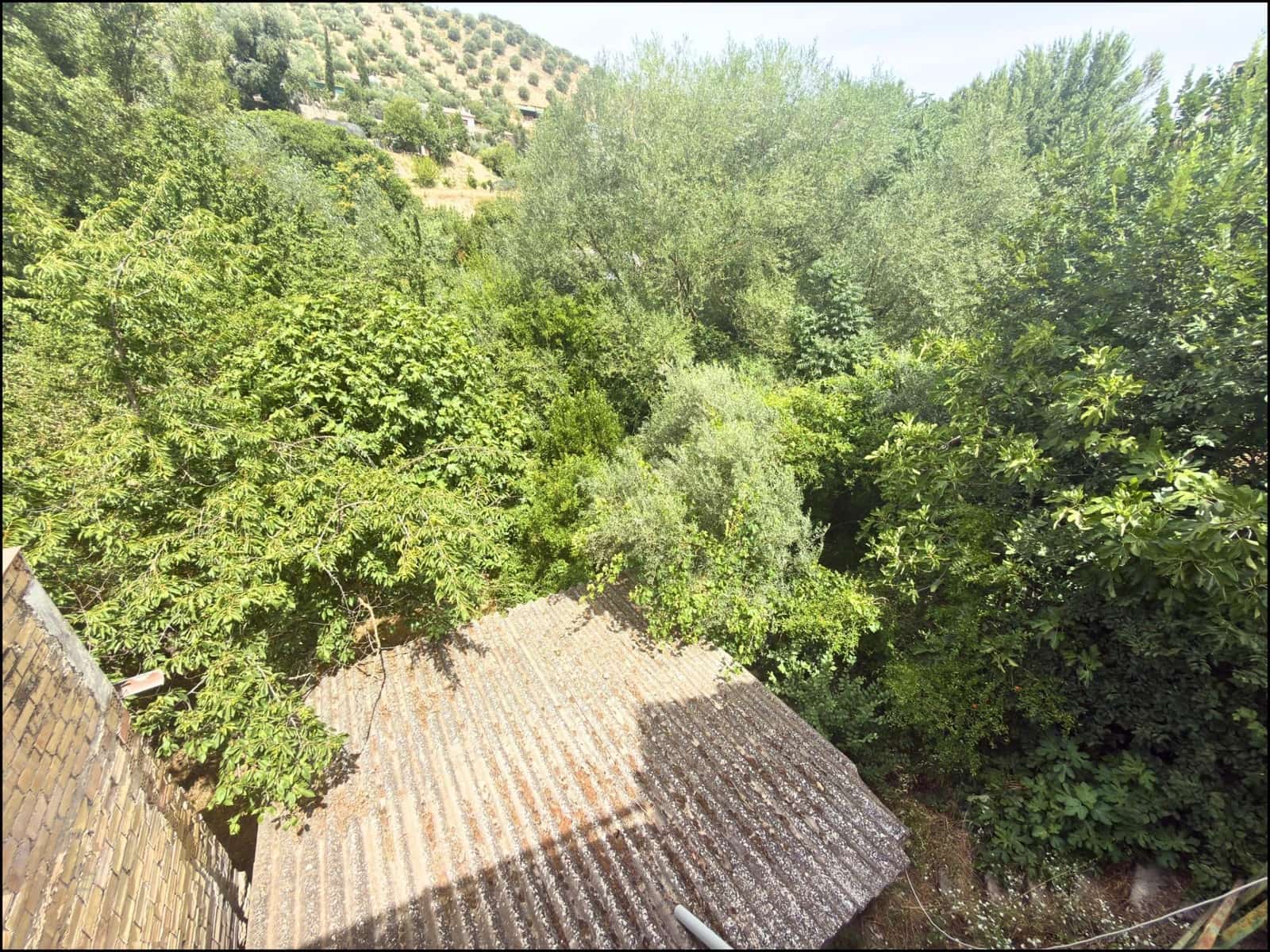 5 Zimmer Villa zu verkaufen in Algarinejo - 75.000 € (Ref: 9936080)