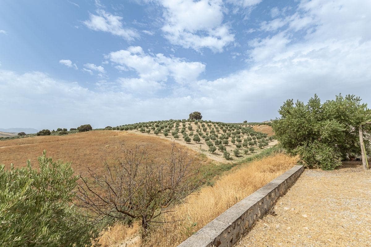3 sypialnia Willa na sprzedaż w Alhama de Granada z basenem - 159 000 € (Ref: 9984616)