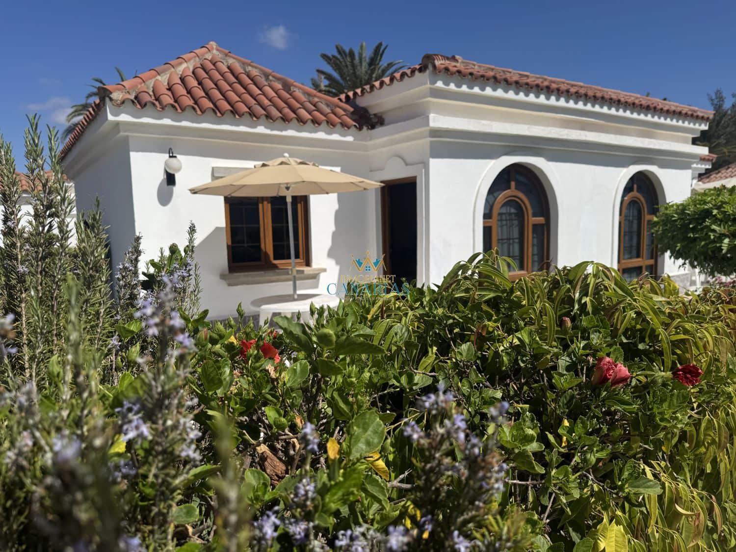 Appartement de 1 chambre à louer à Maspalomas avec piscine - 1 500 € (Ref: 10044609)