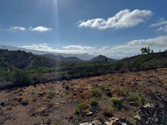 2 soveværelse Finca/Landehus til salg i San Bartolome de Tirajana - € 335.000 (Ref: 8401553)