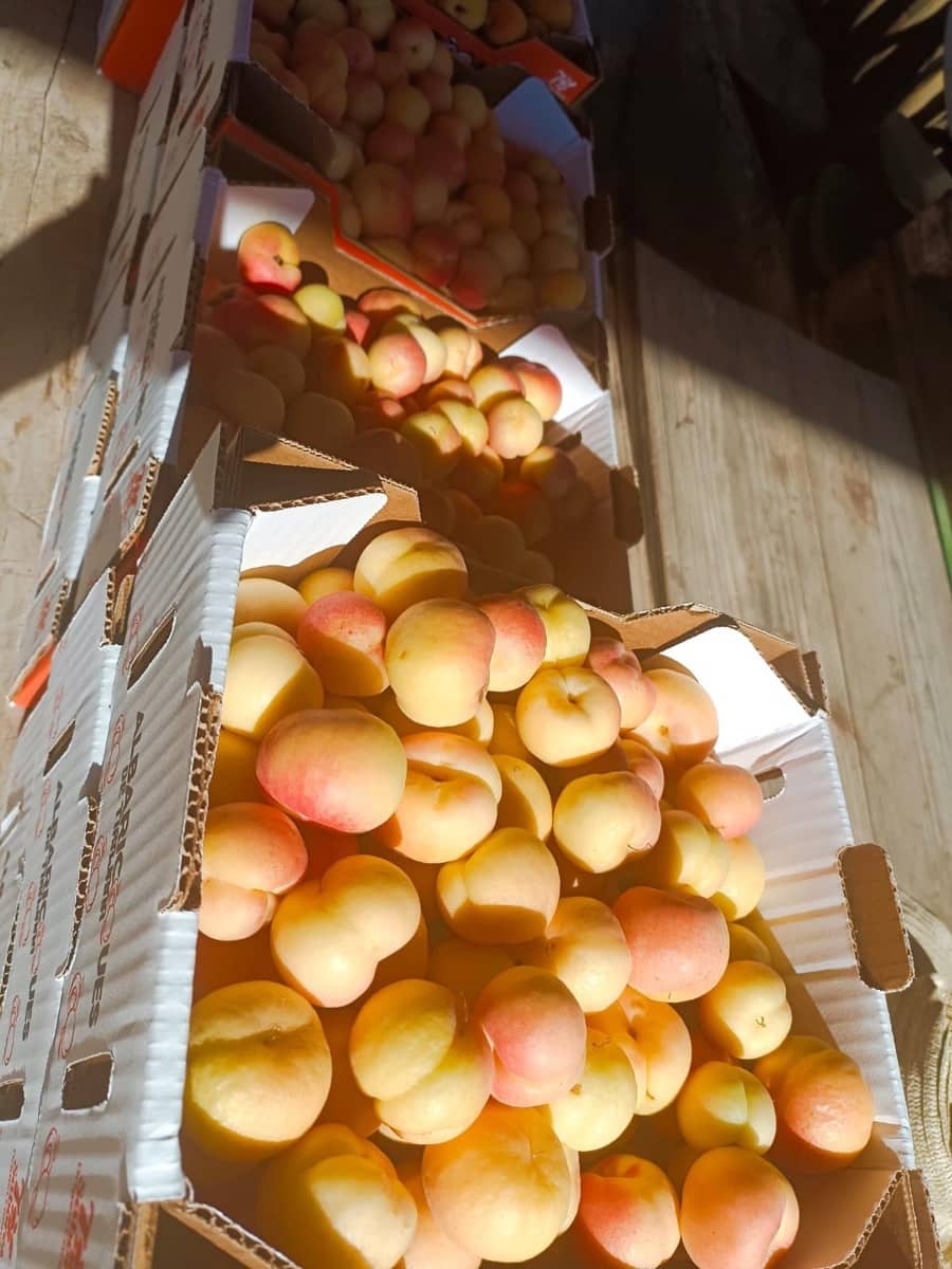 2 soveværelse Finca/Landehus til salg i San Bartolome de Tirajana - € 335.000 (Ref: 8401553)