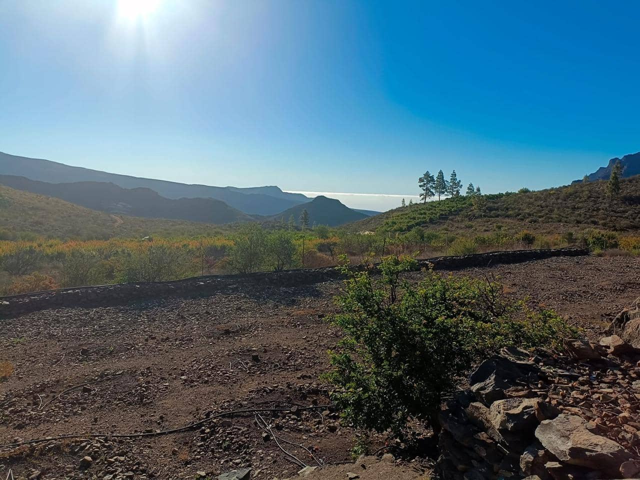 2 soveværelse Finca/Landehus til salg i San Bartolome de Tirajana - € 335.000 (Ref: 8401553)