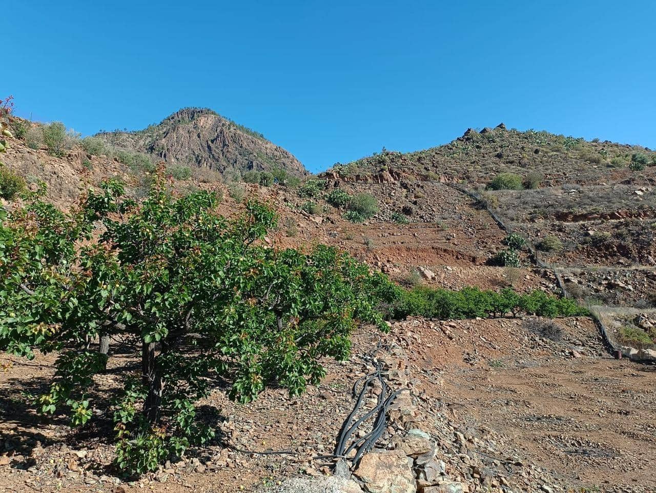 2 soveværelse Finca/Landehus til salg i San Bartolome de Tirajana - € 335.000 (Ref: 8401553)