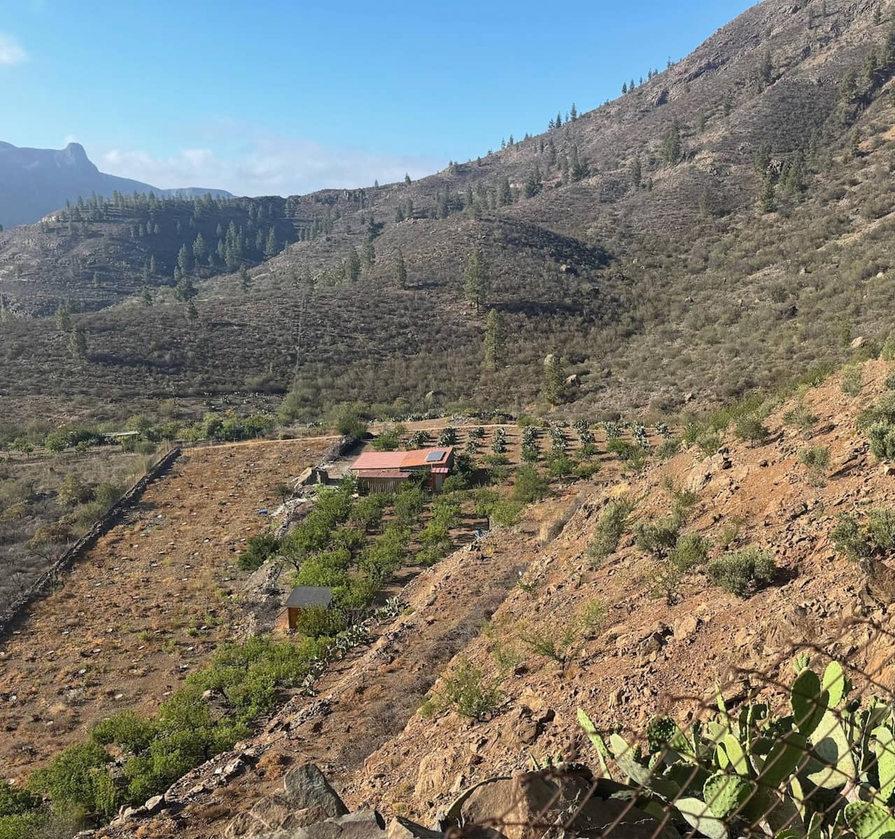 2 soveværelse Finca/Landehus til salg i San Bartolome de Tirajana - € 335.000 (Ref: 8401553)