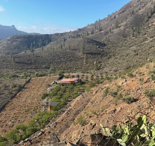 2 soveværelse Finca/Landehus til salg i San Bartolomé de Tirajana - € 335.000 (Ref: 8401553)