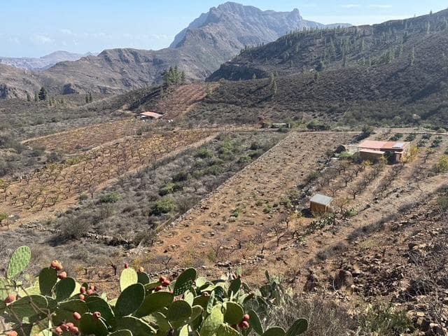 2 soveværelse Finca/Landehus til salg i San Bartolome de Tirajana - € 335.000 (Ref: 8401553)