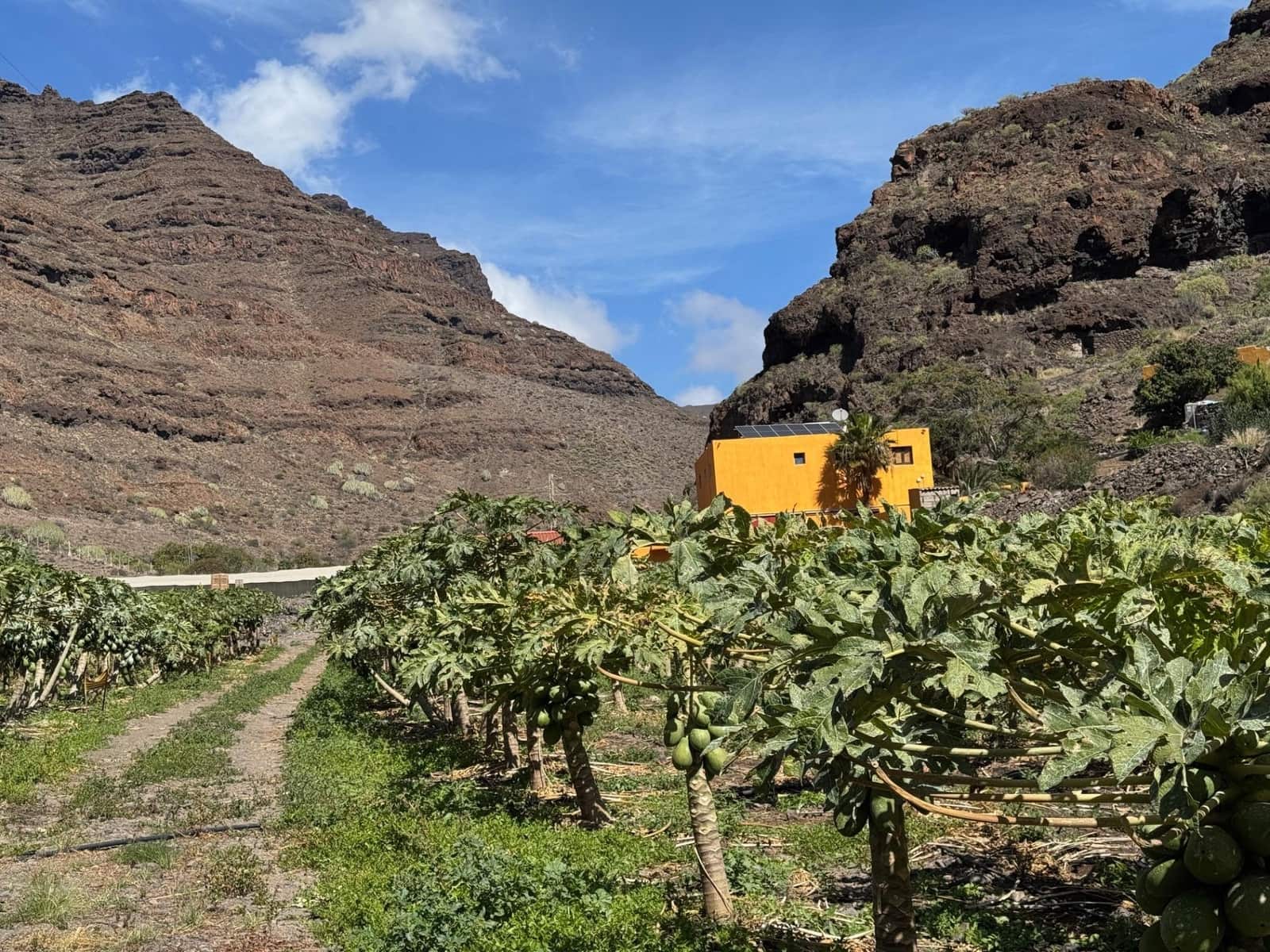 4 soverom Finca/Herregård til salgs i La Aldea de San Nicolas - € 1 200 000 (Ref: 8806161)