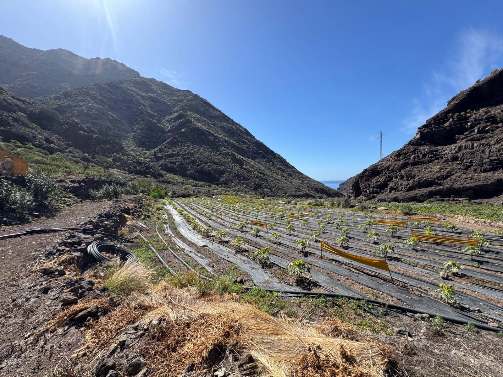 4 soverom Finca/Herregård til salgs i La Aldea de San Nicolas - € 1 200 000 (Ref: 8806161)