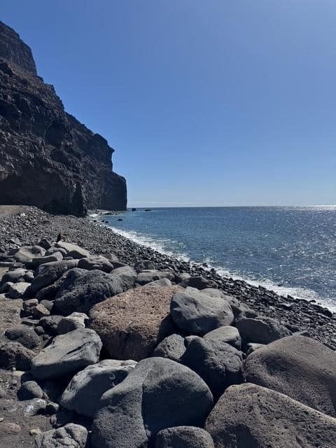 4 soverom Finca/Herregård til salgs i La Aldea de San Nicolas - € 1 200 000 (Ref: 8806161)