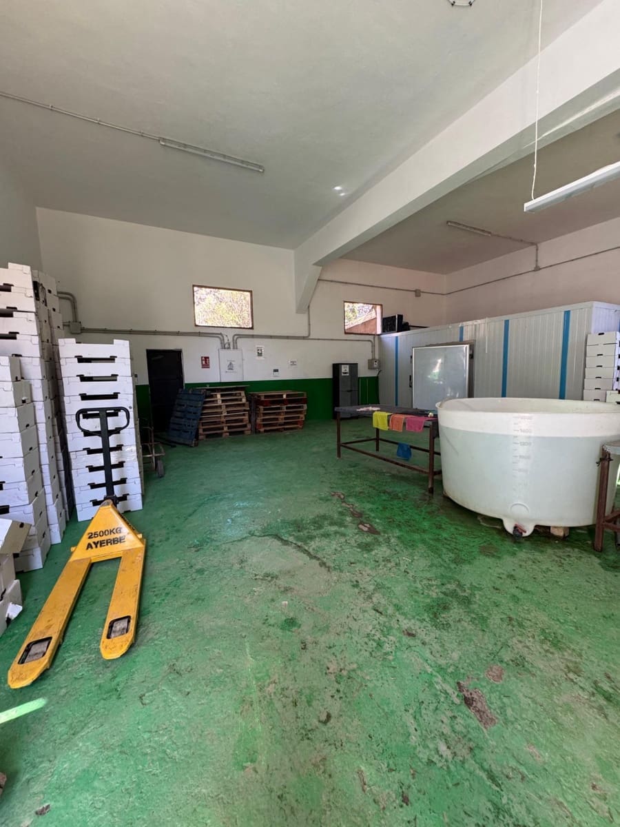 4 soverom Finca/Herregård til salgs i La Aldea de San Nicolas - € 1 200 000 (Ref: 8806161)