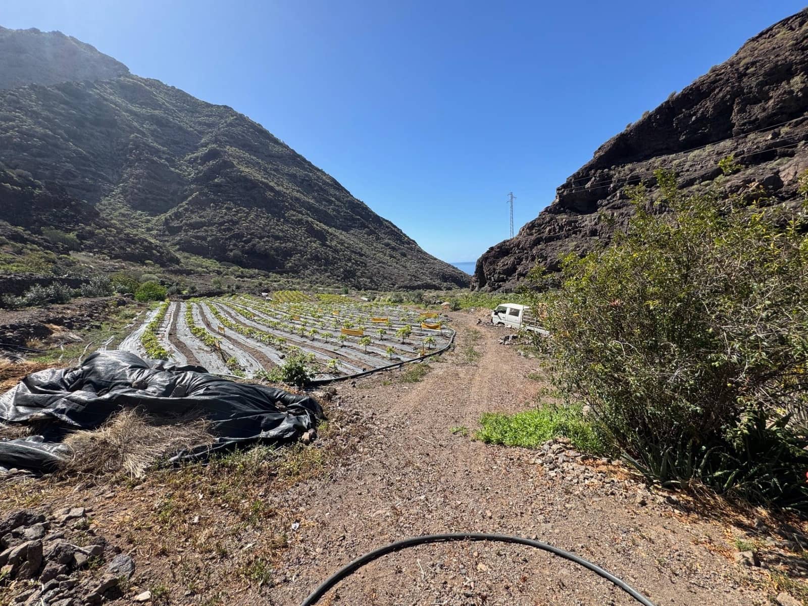 4 soverom Finca/Herregård til salgs i La Aldea de San Nicolas - € 1 200 000 (Ref: 8806161)