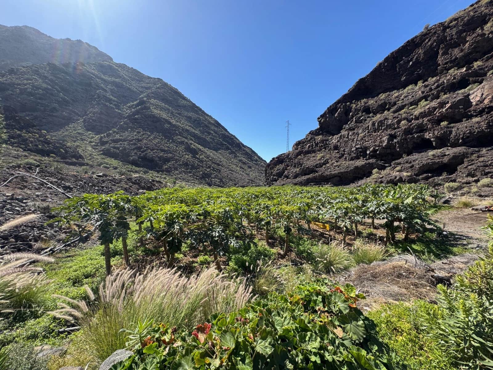 4 soverom Finca/Herregård til salgs i La Aldea de San Nicolas - € 1 200 000 (Ref: 8806161)